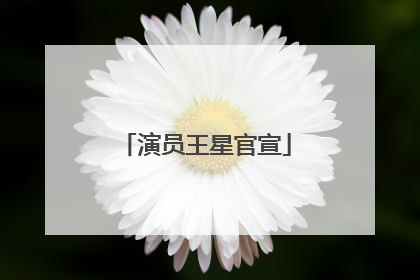 演员王星官宣