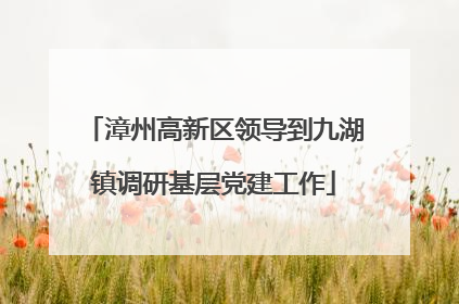 漳州高新区领导到九湖镇调研基层党建工作