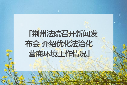 荆州法院召开新闻发布会 介绍优化法治化营商环境工作情况