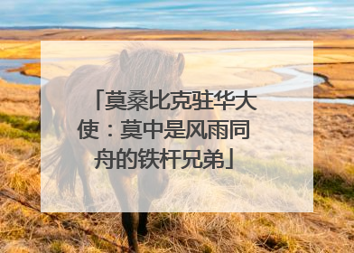 莫桑比克驻华大使：莫中是风雨同舟的铁杆兄弟