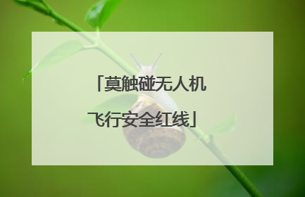 莫触碰无人机飞行安全红线