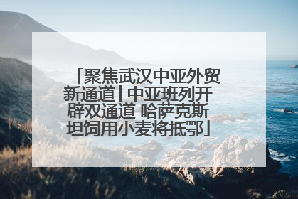 聚焦武汉中亚外贸新通道│中亚班列开辟双通道 哈萨克斯坦饲用小麦将抵鄂