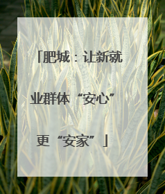 肥城：让新就业群体“安心”更“安家”