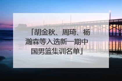 胡金秋、周琦、杨瀚森等入选新一期中国男篮集训名单