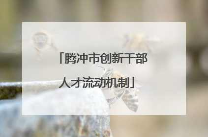 腾冲市创新干部人才流动机制