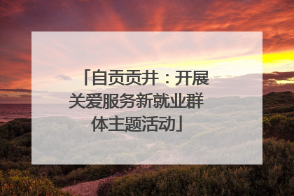 自贡贡井：开展关爱服务新就业群体主题活动