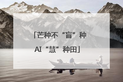 芒种不“盲”种 AI“慧”种田