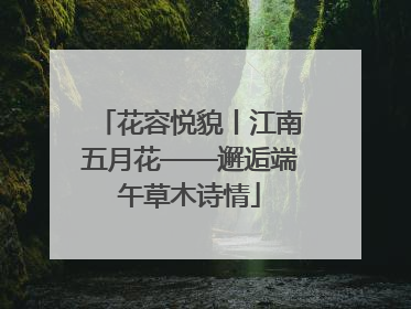 花容悦貌丨江南五月花——邂逅端午草木诗情