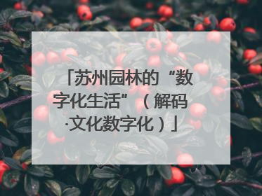 苏州园林的“数字化生活”（解码·文化数字化）