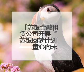 苏银金融租赁公司开展“苏银圆梦计划——童心向未来”微心愿捐赠活动