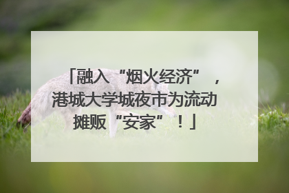 融入“烟火经济”，港城大学城夜市为流动摊贩“安家”！