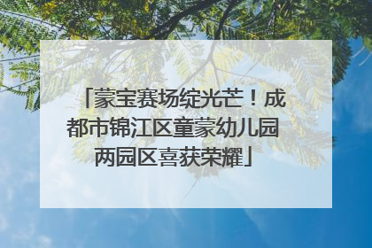 蒙宝赛场绽光芒！成都市锦江区童蒙幼儿园两园区喜获荣耀
