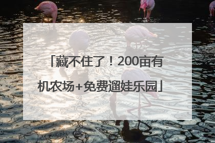 藏不住了！200亩有机农场+免费遛娃乐园