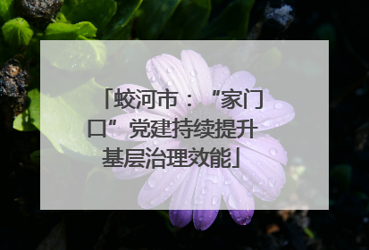蛟河市：“家门口”党建持续提升基层治理效能