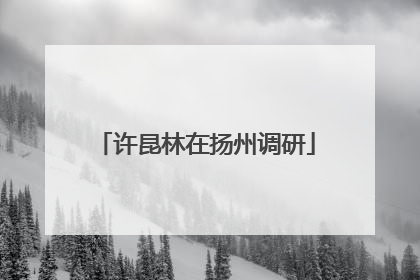 许昆林在扬州调研