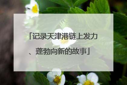 记录天津港链上发力、蓬勃向新的故事