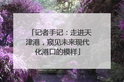 记者手记：走进天津港，窥见未来现代化港口的模样