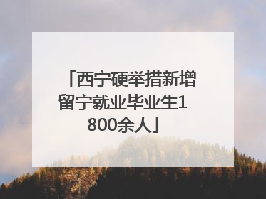 西宁硬举措新增留宁就业毕业生1800余人