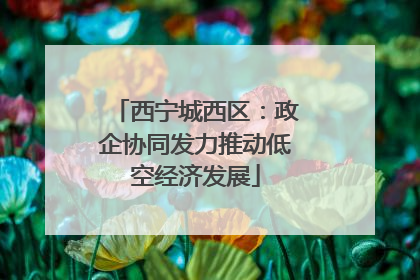 西宁城西区：政企协同发力推动低空经济发展