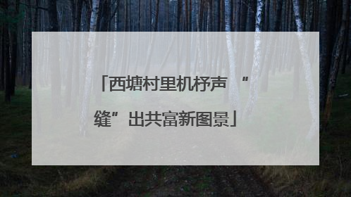 西塘村里机杼声 “缝”出共富新图景