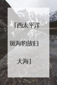 西太平洋斑海豹放归大海