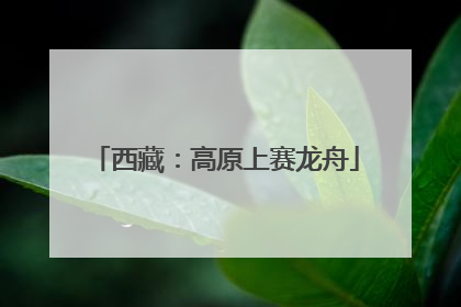 西藏：高原上赛龙舟