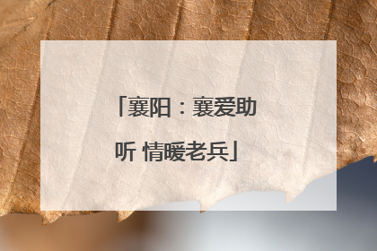 襄阳：襄爱助听 情暖老兵