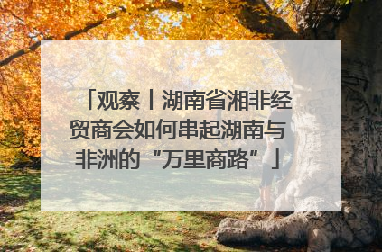 观察丨湖南省湘非经贸商会如何串起湖南与非洲的“万里商路”