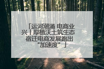 运河潮涌 电商业兴丨厚植沃土筑生态 宿迁电商发展跑出“加速度”