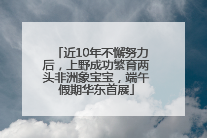 近10年不懈努力后，上野成功繁育两头非洲象宝宝，端午假期华东首展