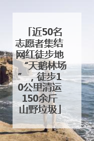 近50名志愿者集结网红徒步地“天鹅林场”，徒步10公里清运150余斤山野垃圾
