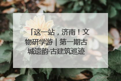 这一站，济南！文物研学游｜第一期古城遗韵·古建筑巡迹之旅圆满结束