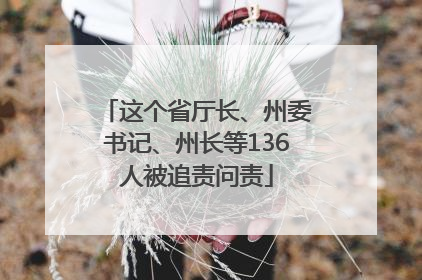 这个省厅长、州委书记、州长等136人被追责问责