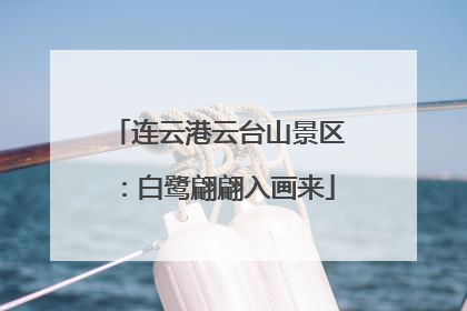 连云港云台山景区：白鹭翩翩入画来