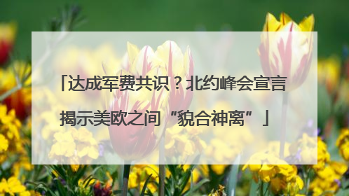 达成军费共识？北约峰会宣言揭示美欧之间“貌合神离”