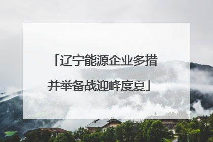 辽宁能源企业多措并举备战迎峰度夏