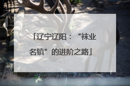 辽宁辽阳：“袜业名镇”的进阶之路