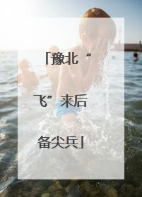 豫北“飞”来后备尖兵