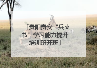 贵阳贵安“兵支书”学习能力提升培训班开班