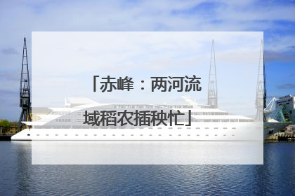 赤峰：两河流域稻农插秧忙