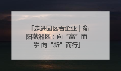 走进园区看企业｜衡阳蒸湘区：向“高”而攀 向“新”而行