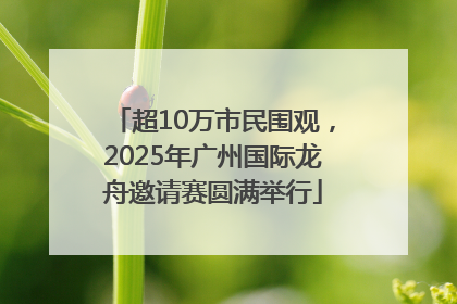 超10万市民围观，2025年广州国际龙舟邀请赛圆满举行