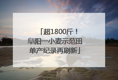 超1800斤！阜阳一小麦示范田单产纪录再刷新