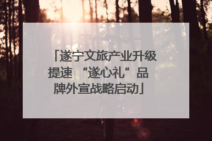 遂宁文旅产业升级提速 “遂心礼”品牌外宣战略启动