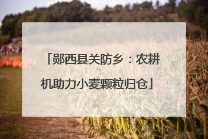 郧西县关防乡：农耕机助力小麦颗粒归仓
