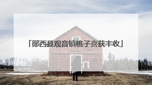 郧西县观音镇桃子喜获丰收