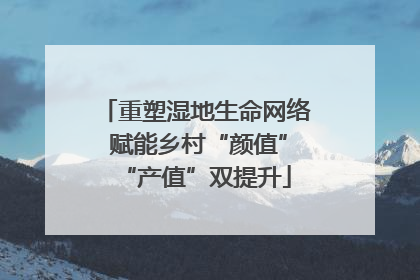 重塑湿地生命网络 赋能乡村“颜值”“产值”双提升