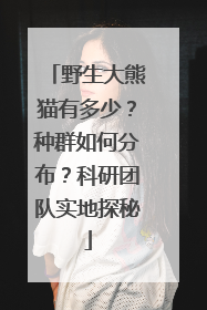 野生大熊猫有多少？种群如何分布？科研团队实地探秘