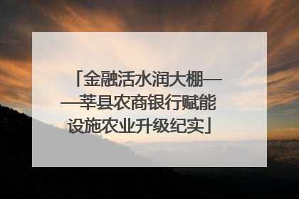 金融活水润大棚——莘县农商银行赋能设施农业升级纪实