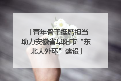 青年骨干挺膺担当 助力安徽省阜阳市“东北大外环”建设